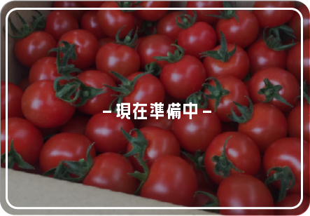 WEB販売
